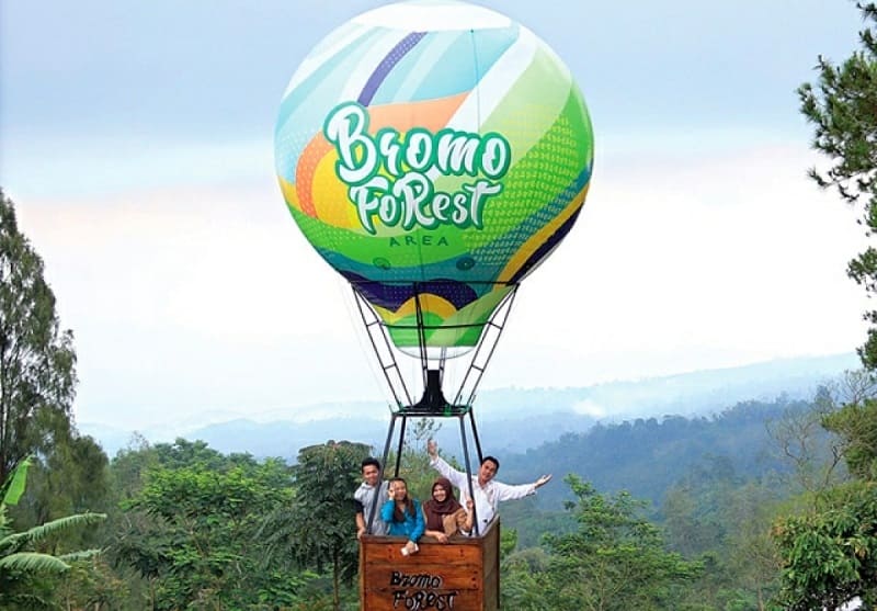 Bromo Forest Park