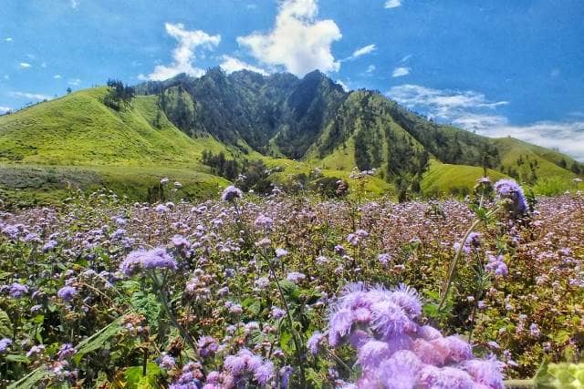 10 Tempat Wisata Bondowoso Paling Menarik Untuk Dikunjungi