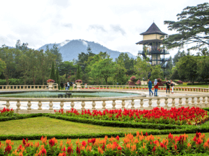 Taman Bunga Nusantara