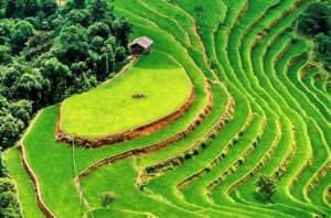 Teras Sawah Banaue