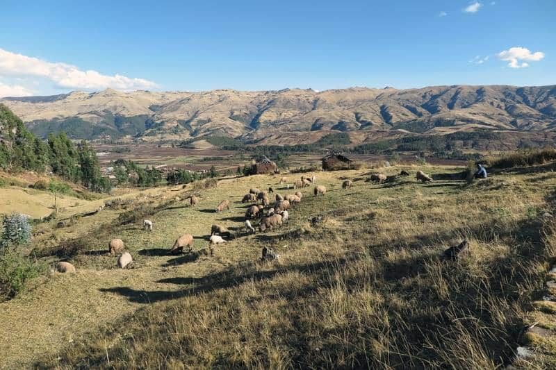 Lembah Suci Peru