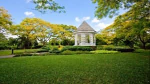 Singapore Botanic Gardens