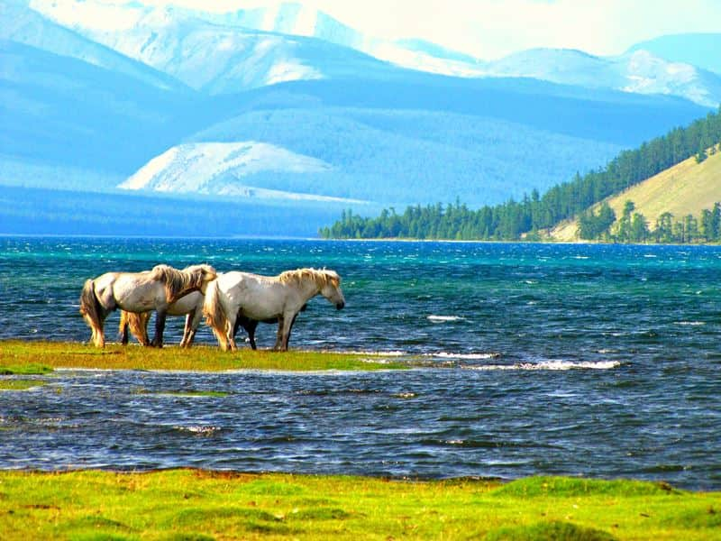 tempat wisata mongolia