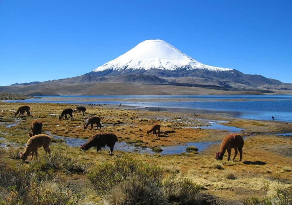 Parinacota