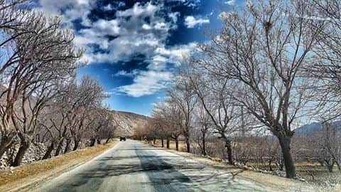 Ziarat