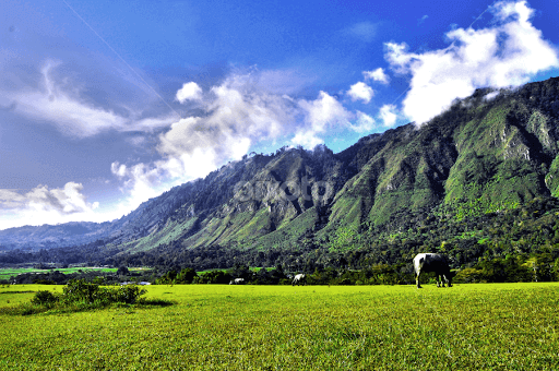  Bukit Beta