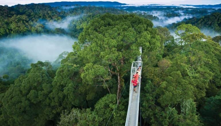 Taman Nasional Ulu Temburong