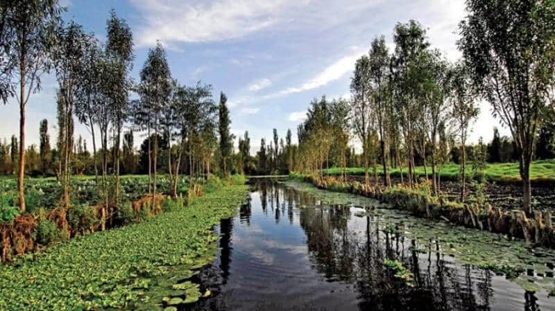 Xochimilco