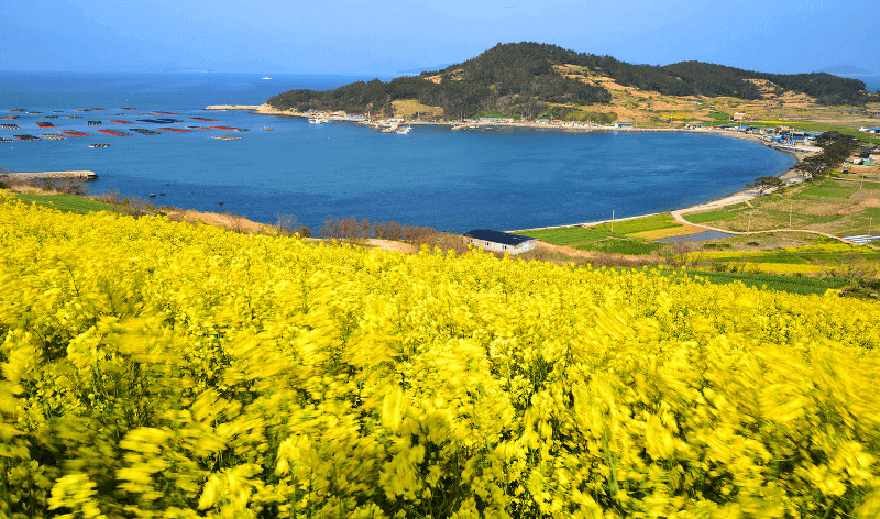 Cheongsando Island