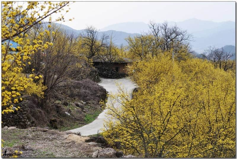 Icheon Sansuyu Village