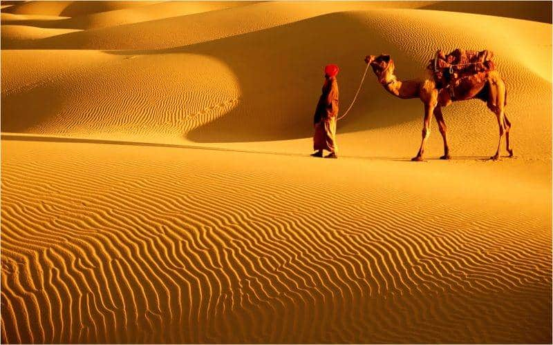 Thar Desert