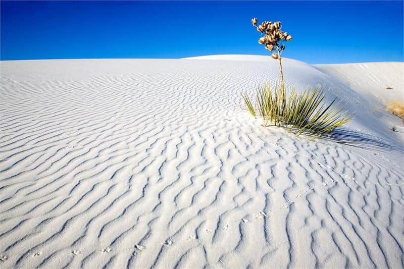 White Sands National Monument