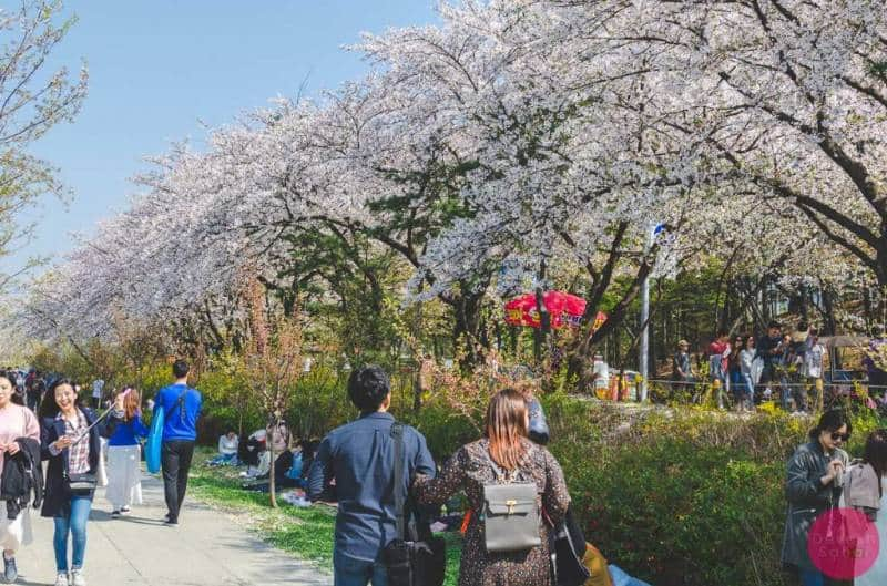 Yeouido Park