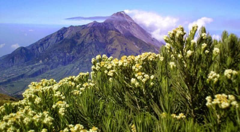  Gunung Merbabu 