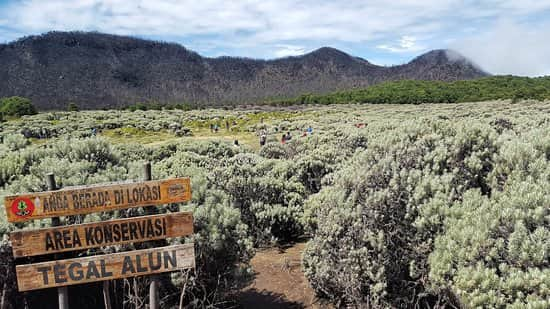 Gunung Papandayan 