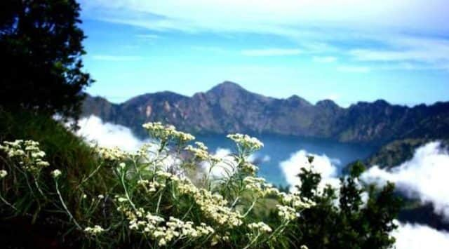 Gunung Rinjani 