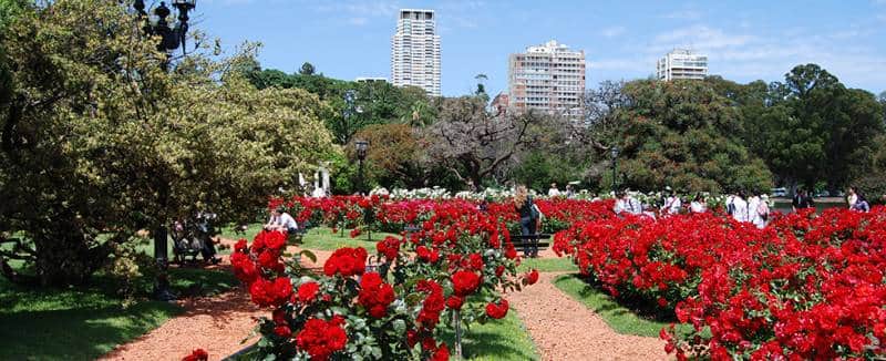 Taman Bunga Mawar di Buenos Aires