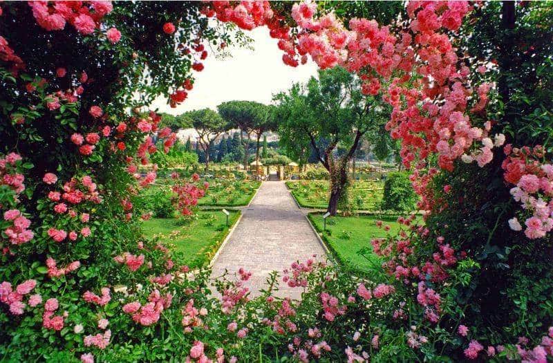 Taman Bunga Mawar di Roma