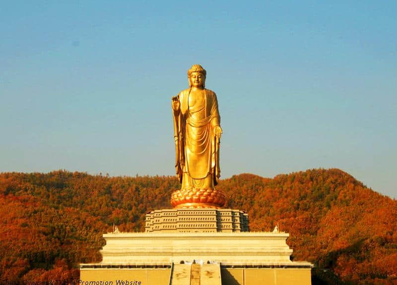  The Spring Buddha Temple