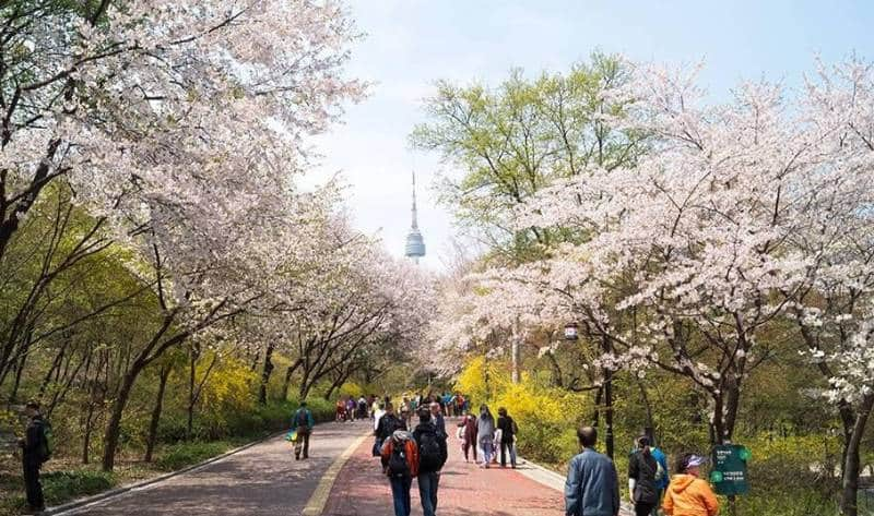 Menara Namsan Seoul 