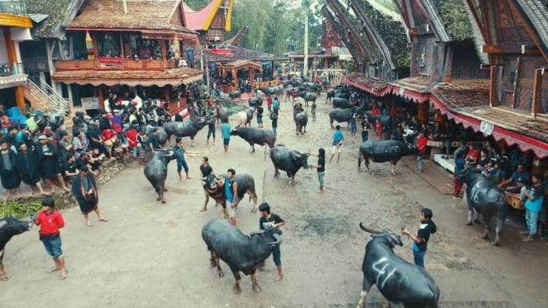 Pemakaman Tana Toraja