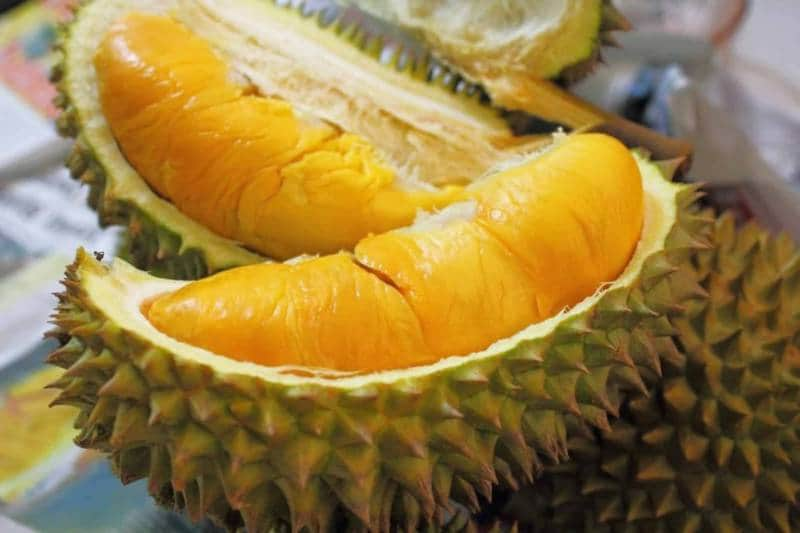 Ucok Durian