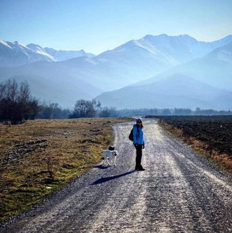 Transylvanian Alps