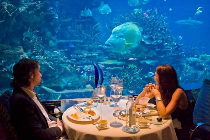 restoran bawah laut terbaik di dunia
