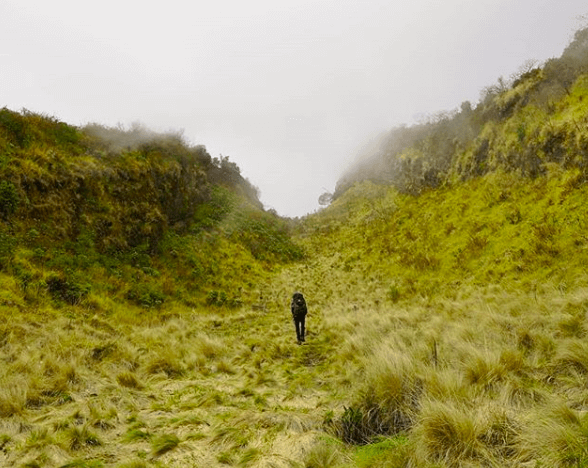 gunung terangker di indonesia