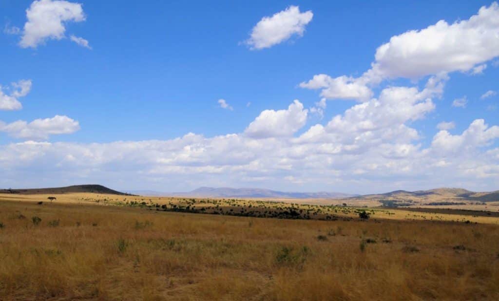 Cagar Alam Maasai Mara 