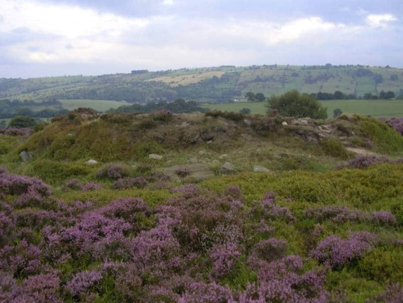 Stanton Moor