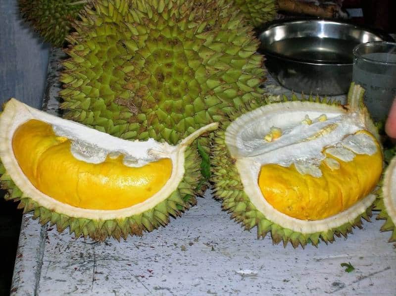 Kebun Durian Warso
