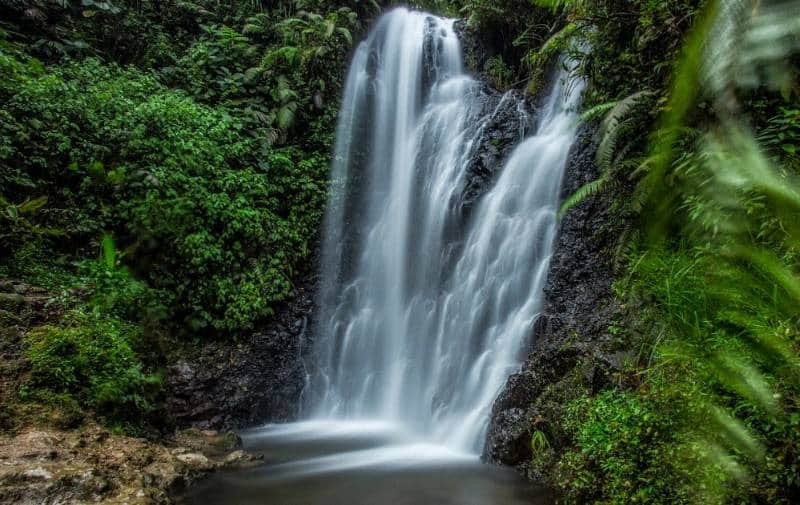  Air Terjun Tirtosari