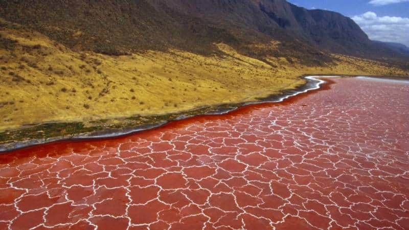  Danau Natron