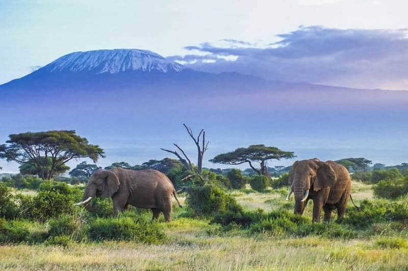 Kilimanjaro National Park