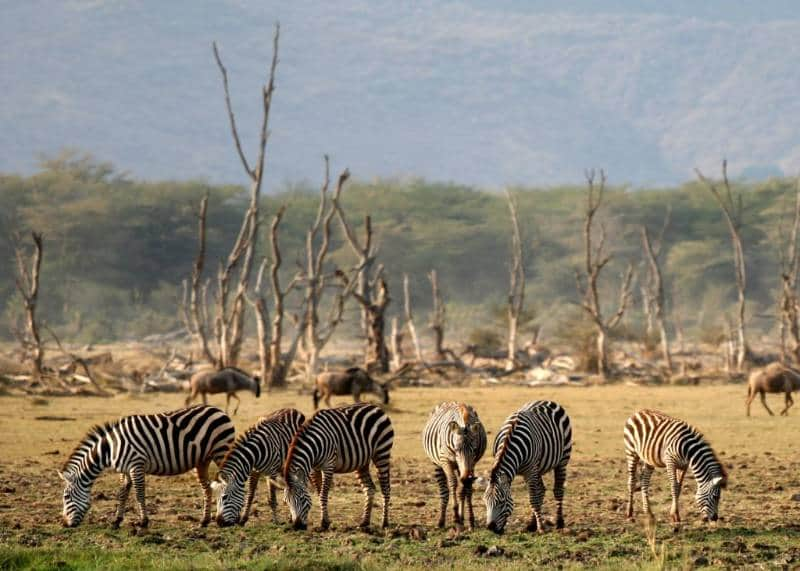 obyek wisata di tanzania