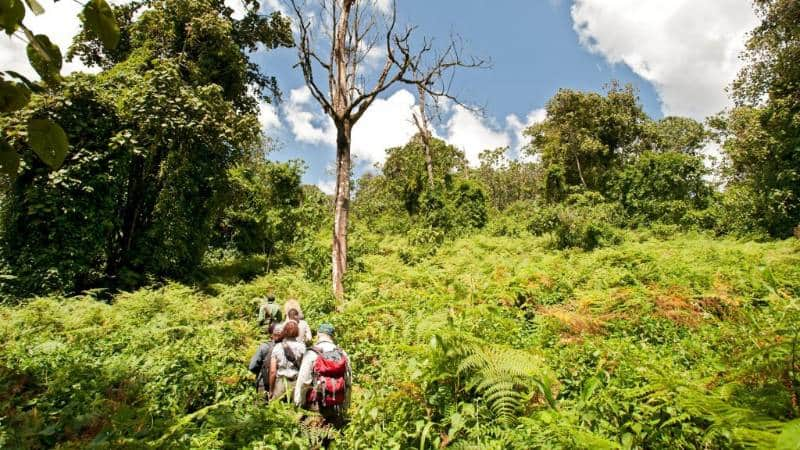  Mahale Mountain National Park