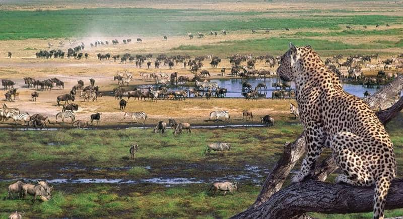 tempat wisata menarik di Afrika