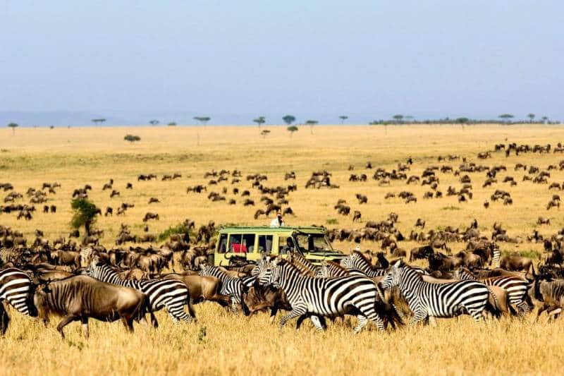 Serengeti National Park