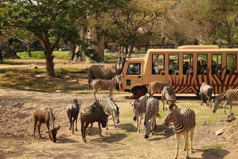 taman safari terbiak di dunia