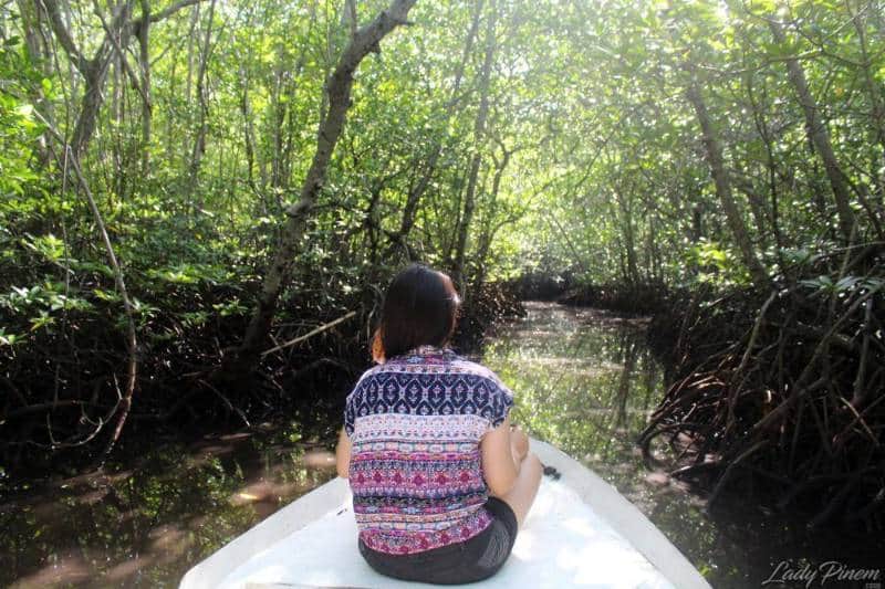 Hutan Mangrove Lembongan