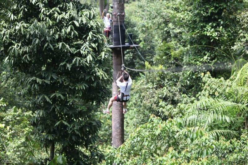 Skytrex Langkawi