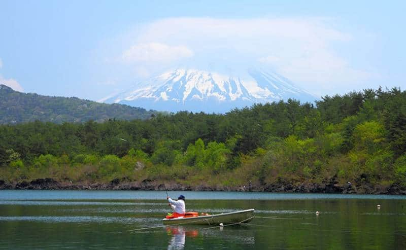 Danau Sai