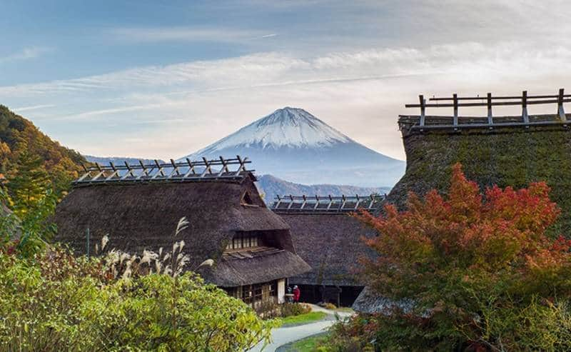 Iyashi No Sato Village