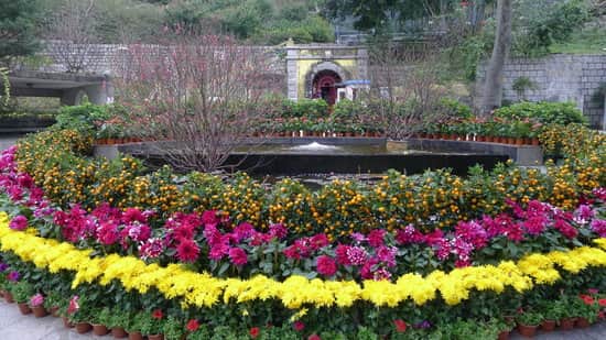  Flora Garden 