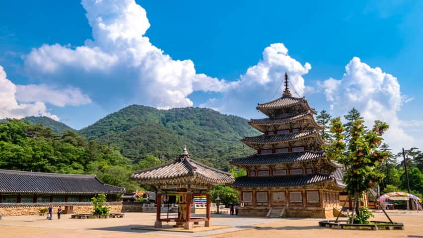 Taman Bunga Di Korea Selatan - Senandung Alam 7 Taman Nasional Di Korea