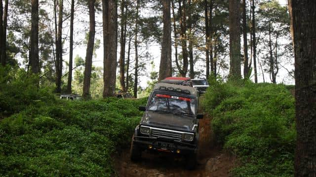 Offroad Safari See The Sky