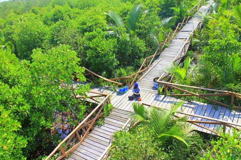 Hutan Mangrove Kampung Laut