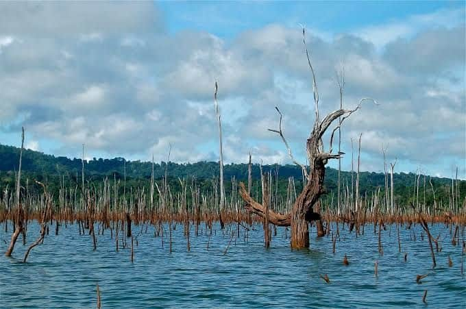 tempat wisata terkenal di suriname