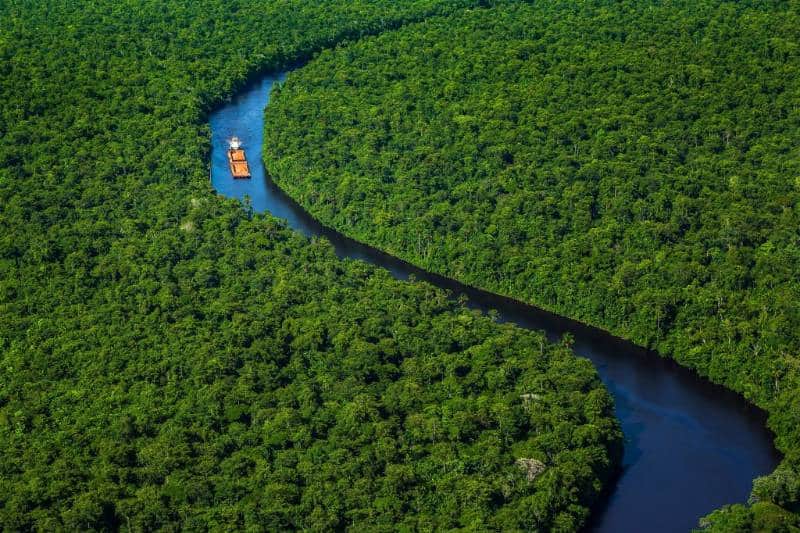 Central Suriname Nature Reserve